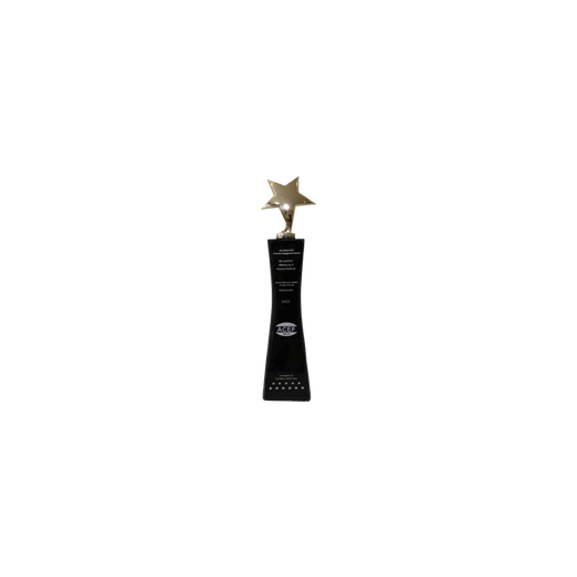 Gold star trophy awarded to Smriti Films